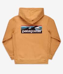 Sweat Patagonia LOGO Uprisal Hoody
