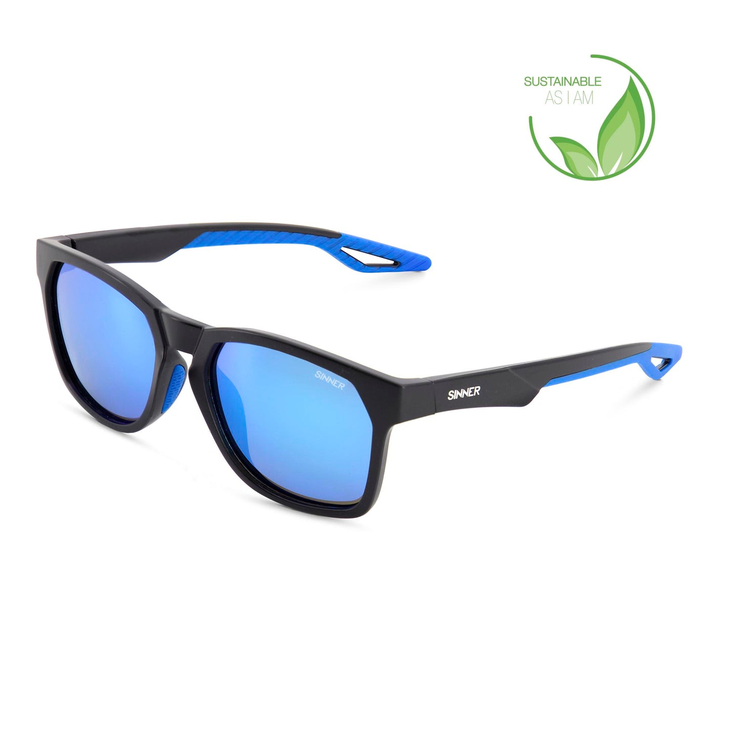 Lunette SINNER FAVEIRA M BLK SINTEC®SMK IC BLU OIL
