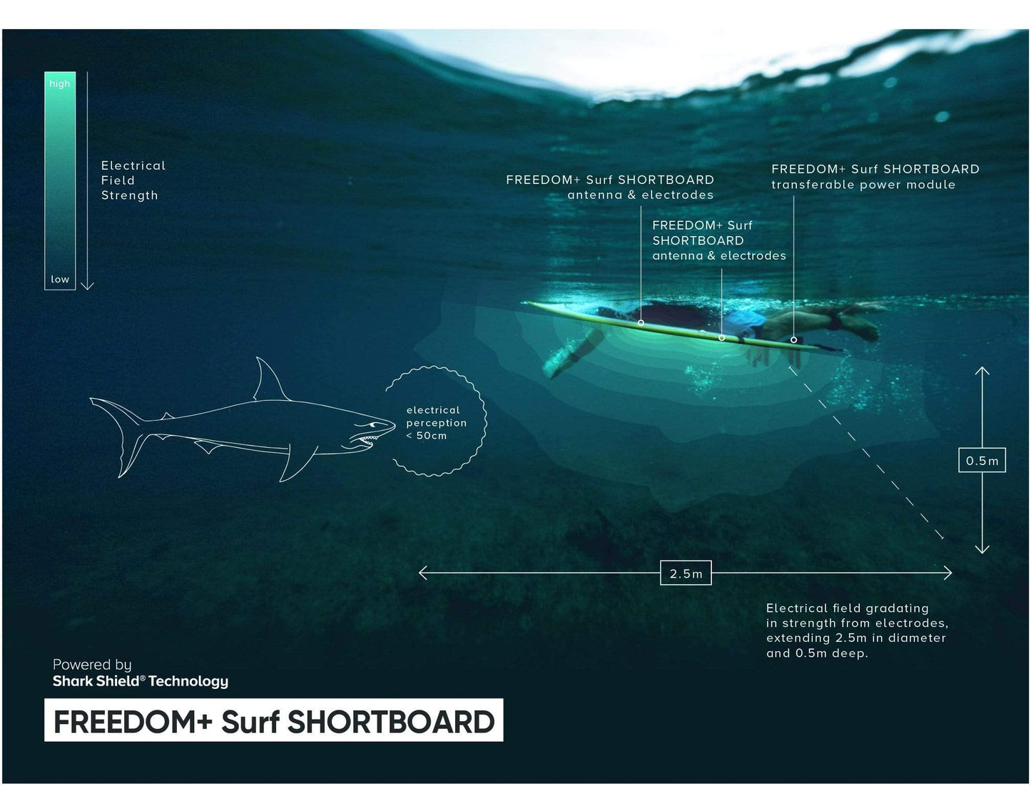 Pré-commande Tail pad + Antenne pour dispositif Anti-requin FREEDOM+ Surf - Shortboard,  pour planche de surf de moins de 6'6